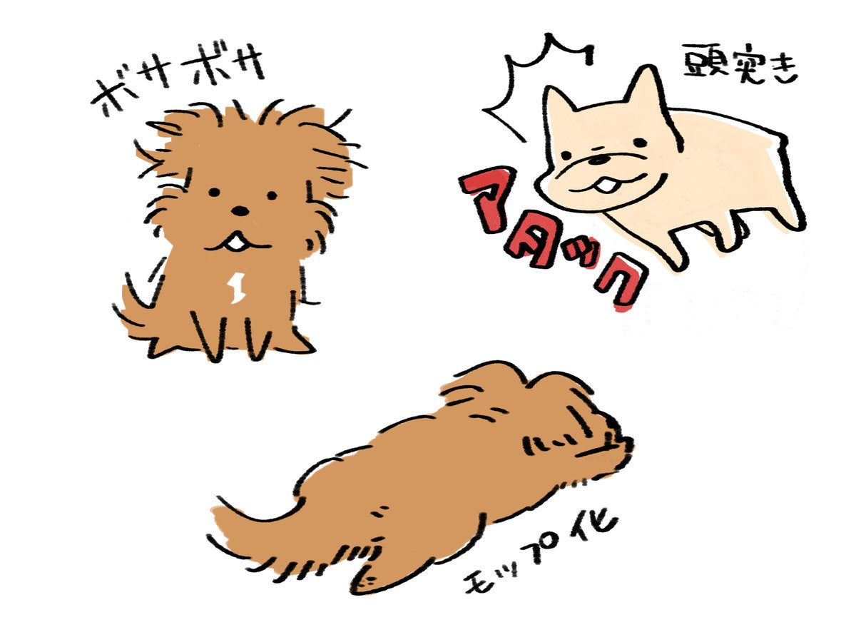 イラスト リアル犬のイラストとチャリティー企画 こぐま犬と散歩 元保護犬の漫画日記