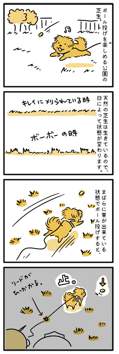 f:id:chairoitenten:20210324181546j:plain