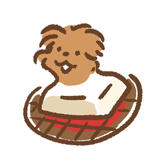 f:id:chairoitenten:20220106172047j:plain