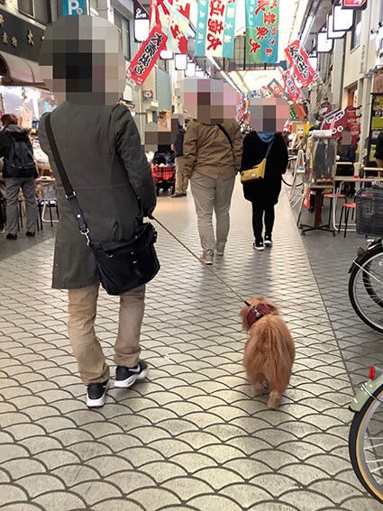 魚ん棚商店街を歩く犬