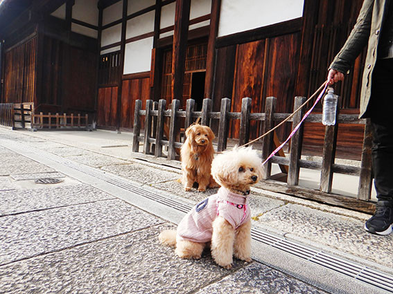 富田林寺内町の旧杉山家住宅