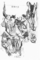 1988年11月3〜6日 【 五十六億七千万秒の情事 】 −　p.1（現場の力１）