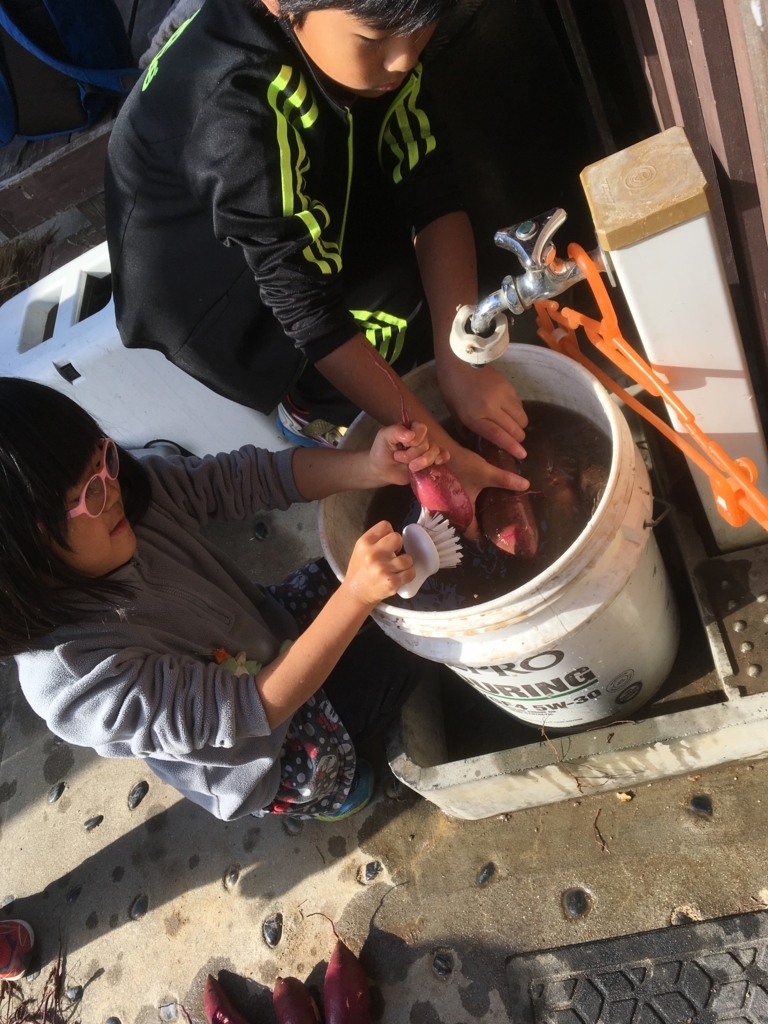 f:id:chairukanomori:20171209134425j:plain