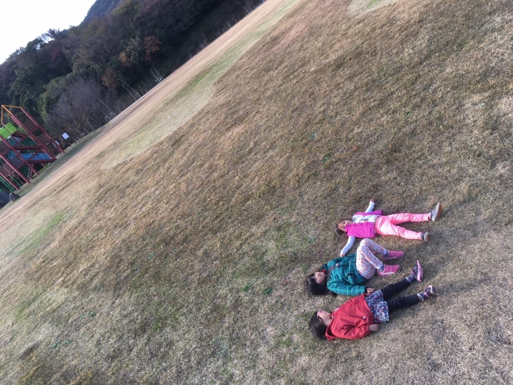 f:id:chairukanomori:20171209161038j:plain