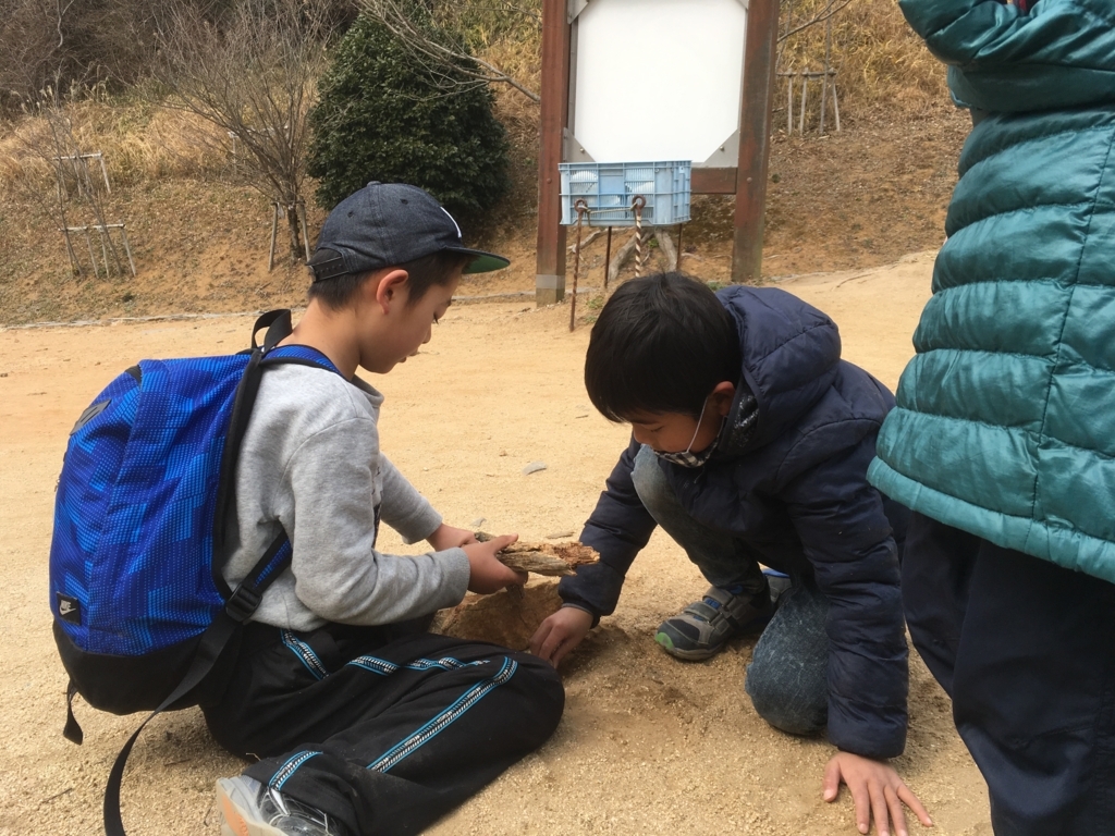 f:id:chairukanomori:20180310000545j:plain