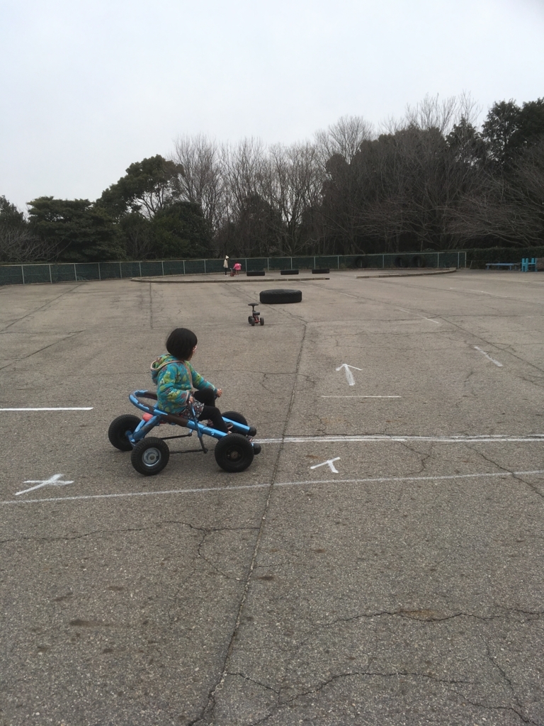 f:id:chairukanomori:20180310001711j:plain