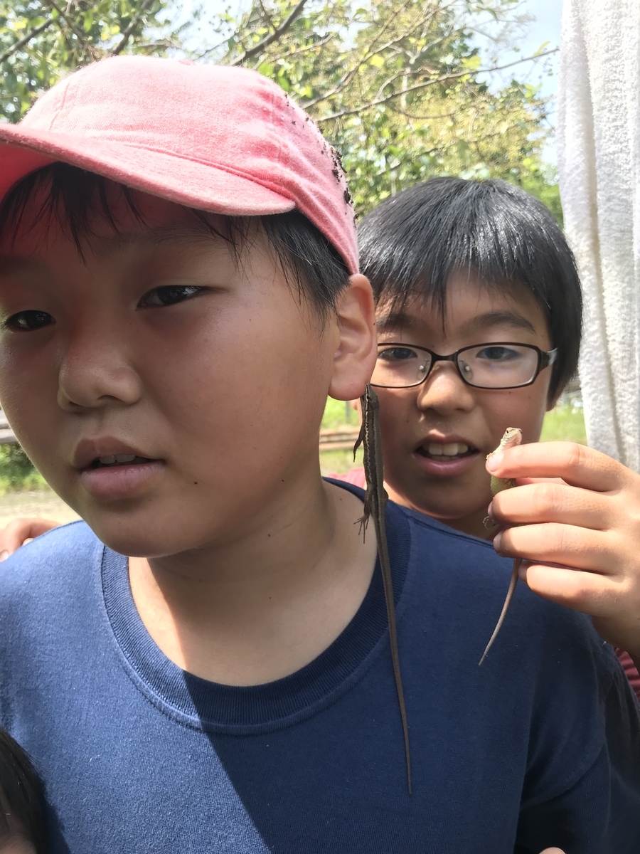 f:id:chairukanomori:20190905183309j:plain f:id:chairukanomori:20190905183309j:plain