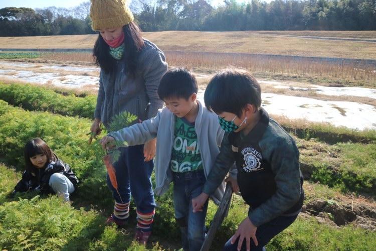 f:id:chairukanomori:20201230083507j:plain