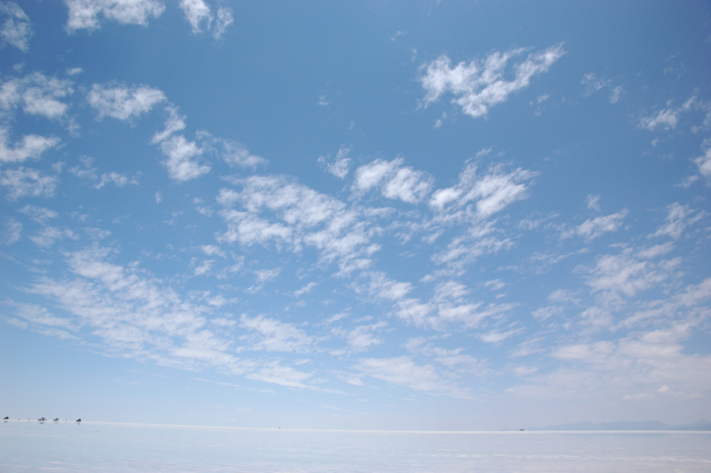 f:id:chajchas:20130211015656j:image f:id:chajchas:20130211015656j:image