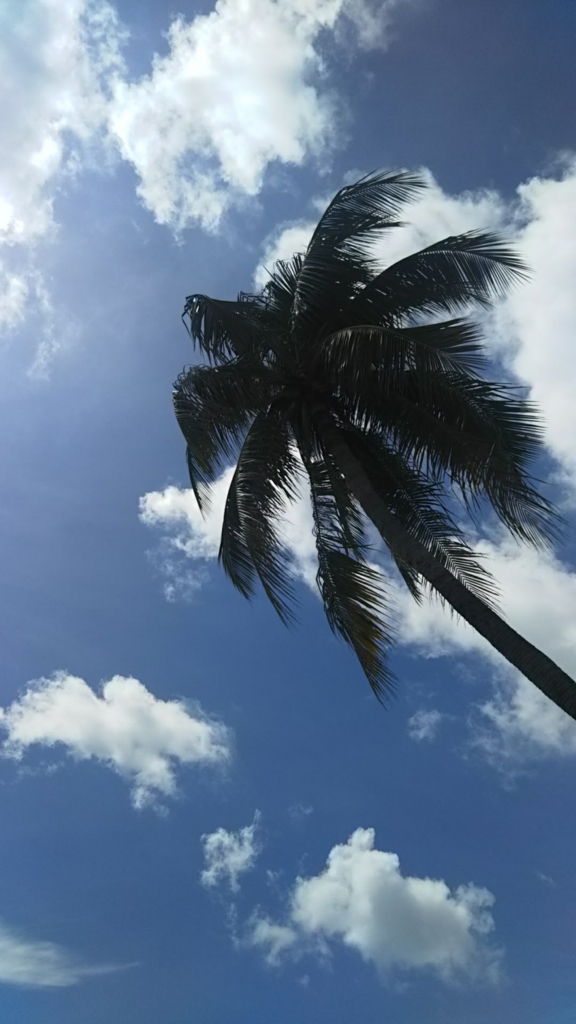 f:id:chakachi:20180329160037j:plain:w200 f:id:chakachi:20180329160037j:plain:w200