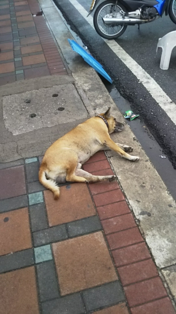 f:id:chakachi:20180410165018j:plain:w200