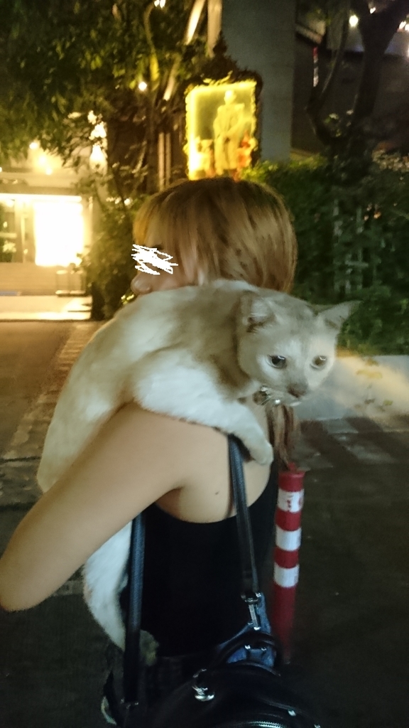 f:id:chakachi:20181014201304j:plain:w200