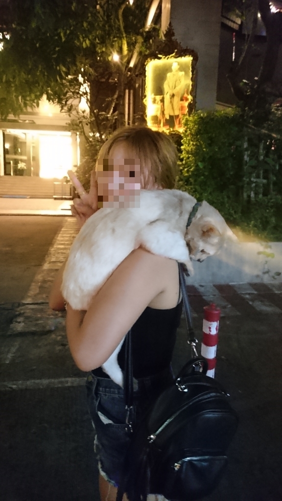 f:id:chakachi:20181014201311j:plain:w200