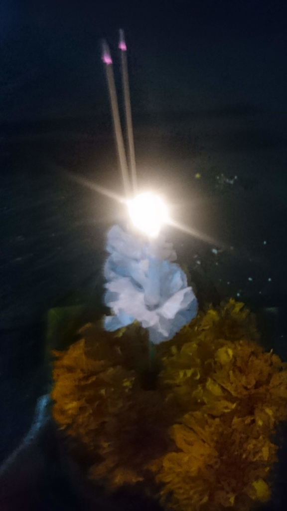 f:id:chakachi:20190226232045j:plain:w200
