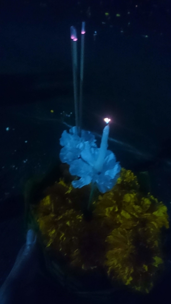 f:id:chakachi:20190226232058j:plain:w200
