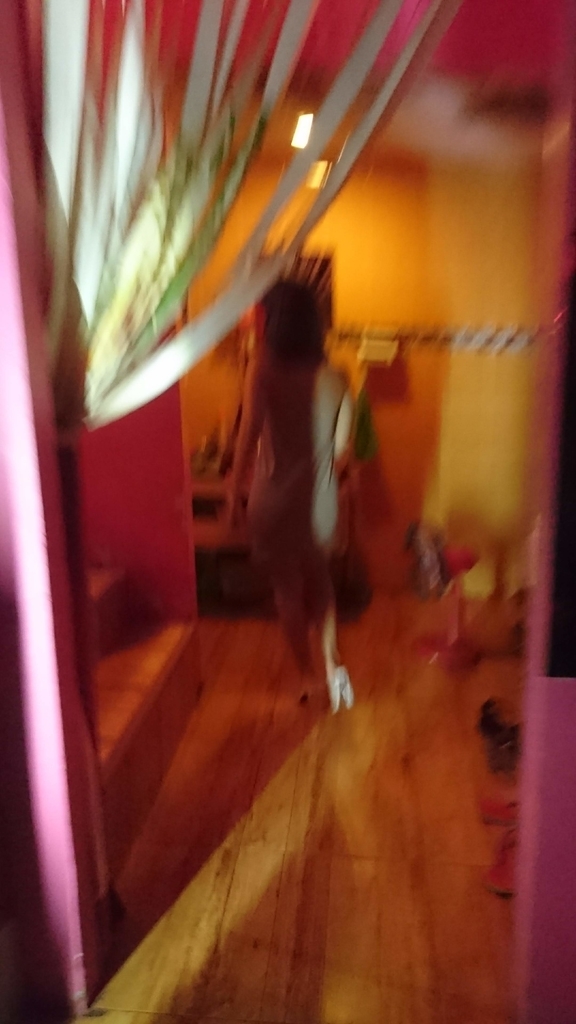 f:id:chakachi:20190226232844j:plain:w200