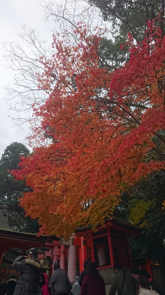 f:id:chakachi:20190424172224j:plain:w200