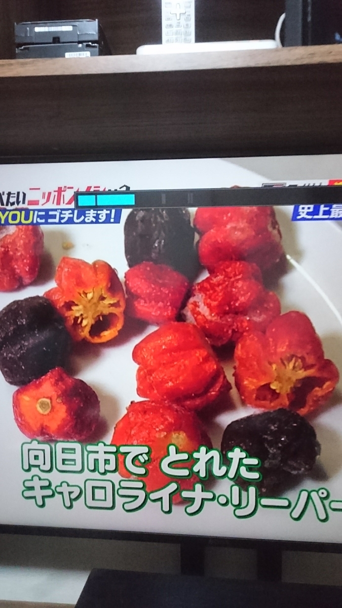 f:id:chakachi:20190424172836j:plain:w200
