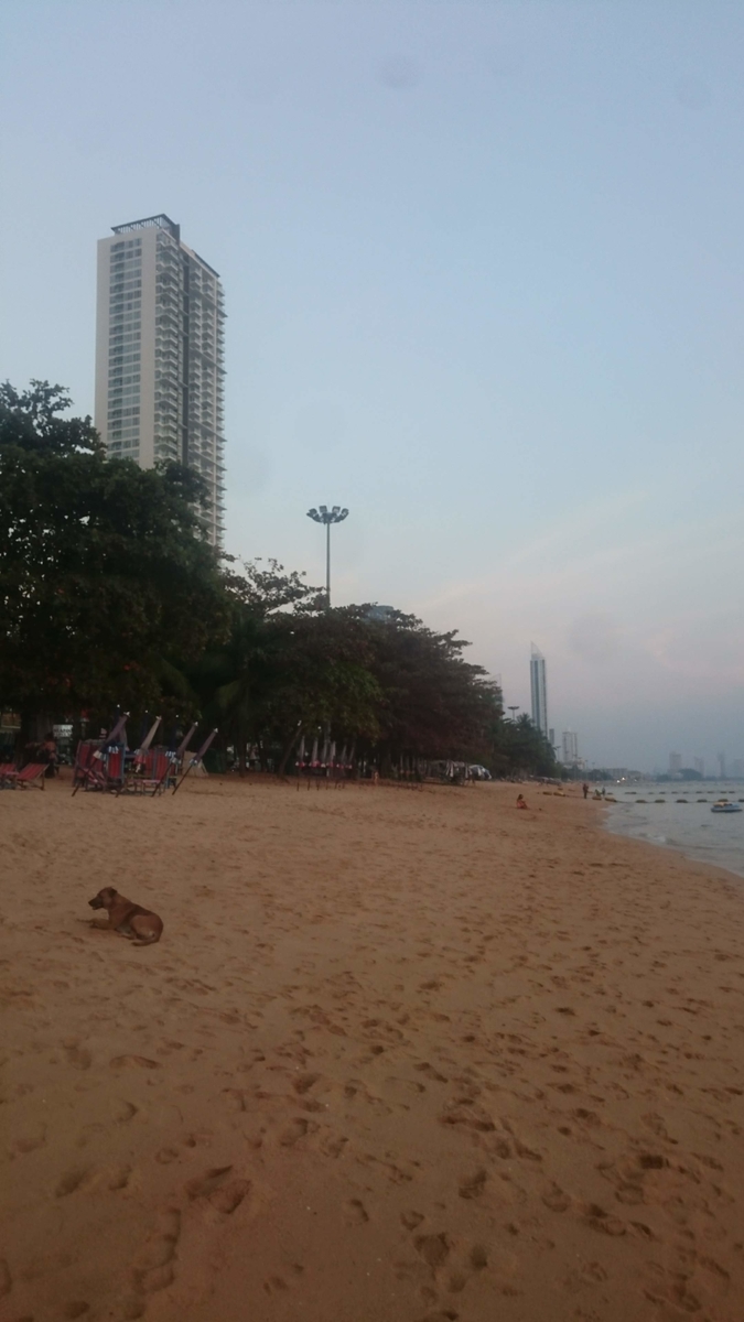f:id:chakachi:20190505173942j:plain:w200