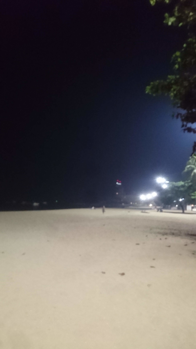 f:id:chakachi:20190505174922j:plain:w200