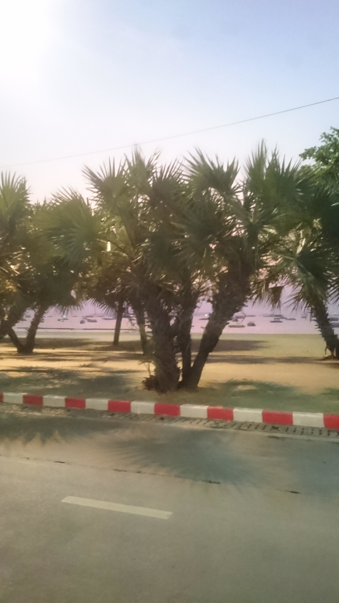 f:id:chakachi:20190521142020j:plain:w200