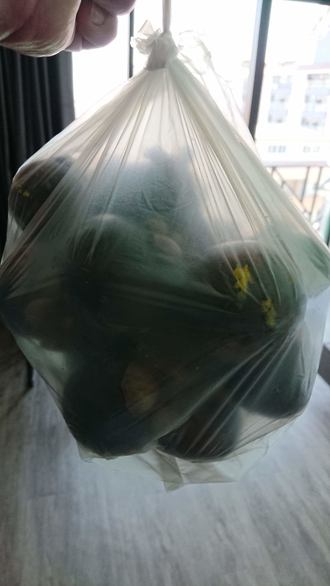 f:id:chakachi:20190724143134j:plain:w200