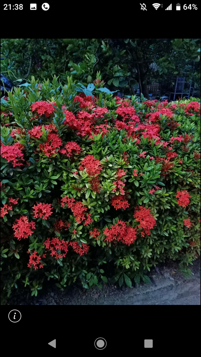 f:id:chakachi:20190804230112p:plain