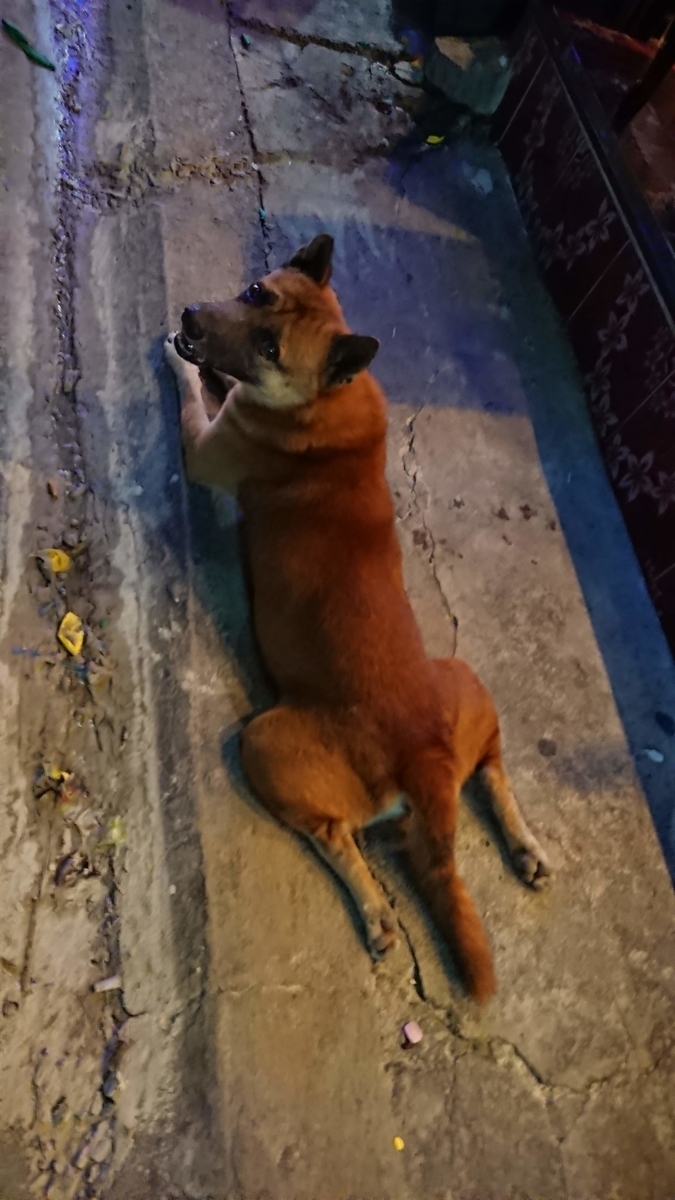 f:id:chakachi:20190906124851j:plain:w200