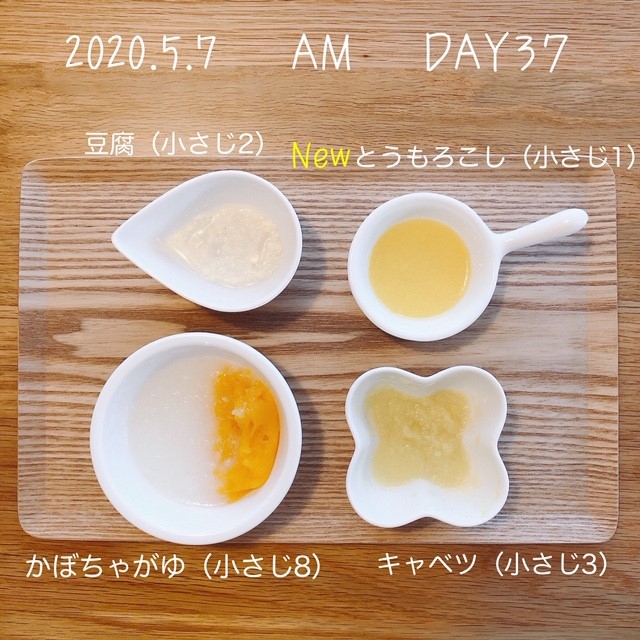 離乳食 6週目 生後27 28週目 長岡拠点 キャンプ 旅行 育児 酒 家庭菜園体験記