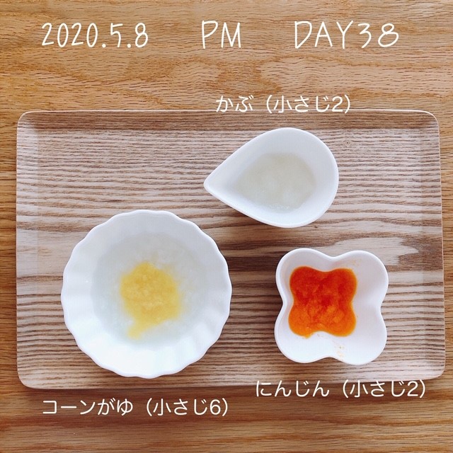 離乳食 6週目 生後27 28週目 長岡拠点 キャンプ 旅行 育児 酒 家庭菜園体験記