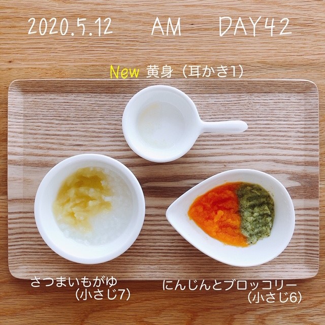 離乳食 6週目 生後27 28週目 長岡拠点 キャンプ 旅行 育児 酒 家庭菜園体験記