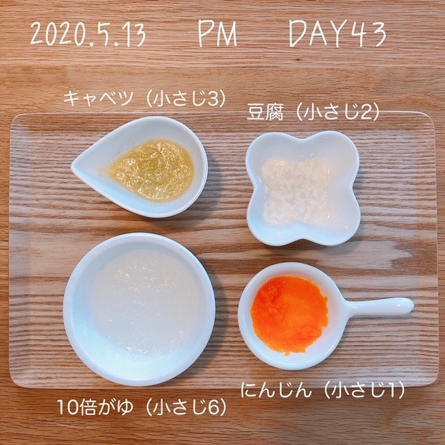 離乳食 7週目 生後28 29週目 長岡拠点 キャンプ 旅行 育児 酒 家庭菜園体験記 離乳食 7週目 生後28 29週目 長岡拠点 キャンプ 旅行 育児 酒 家庭菜園体験記
