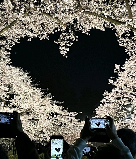 夜のハート 画像