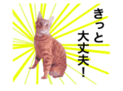f:id:chakibineo0316:20190112073325p:plain