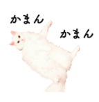 f:id:chakibineo0316:20190112073814p:plain