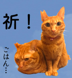 f:id:chakibineo0316:20190112074542p:plain