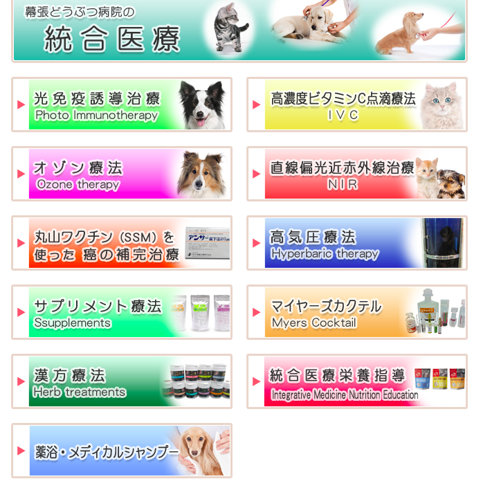 f:id:chakibineo0316:20191024101953p:plain f:id:chakibineo0316:20191024101953p:plain