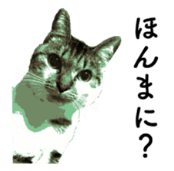 f:id:chakibineo0316:20200716171226p:plain