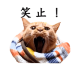 f:id:chakibineo0316:20210324175540p:plain