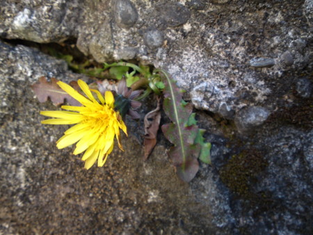 20110305130325