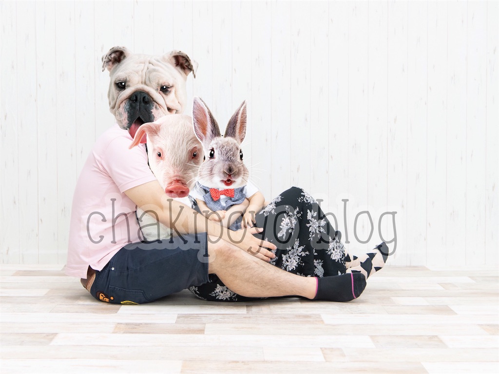 f:id:chakipoyo:20180630173132j:image