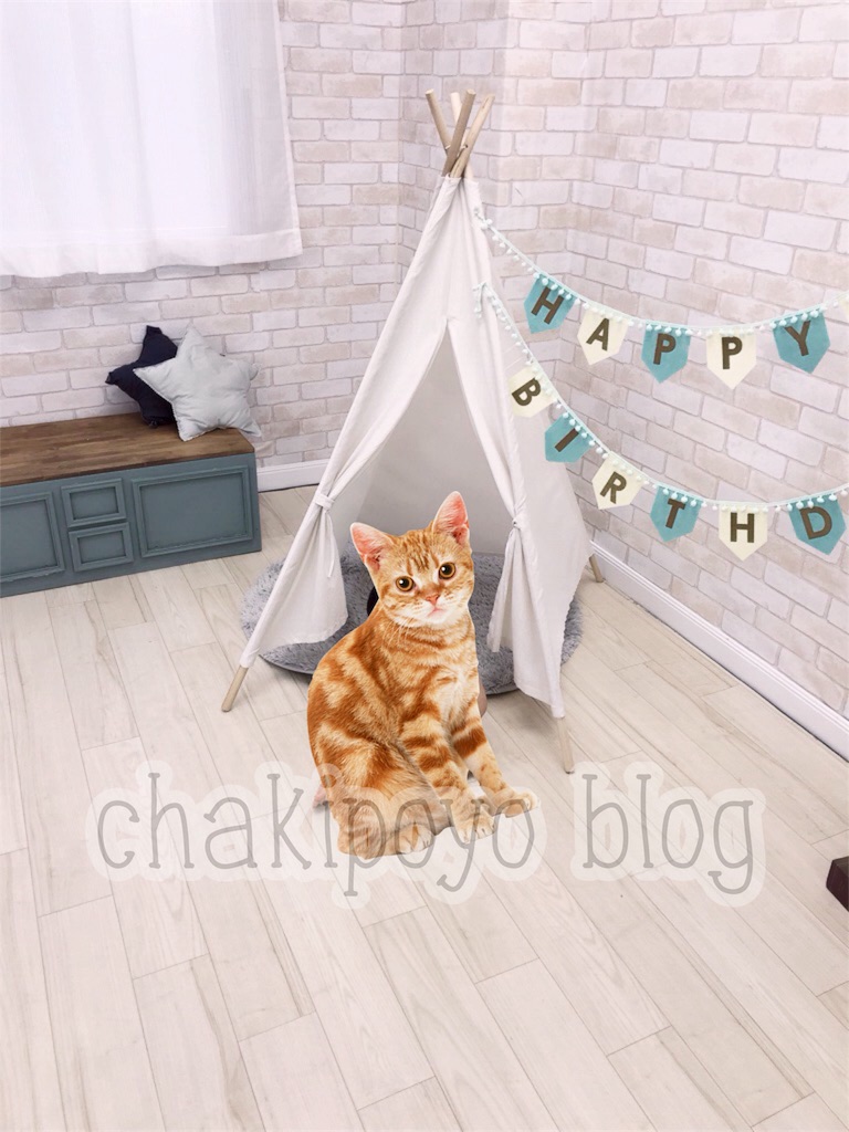 f:id:chakipoyo:20180630173135j:image