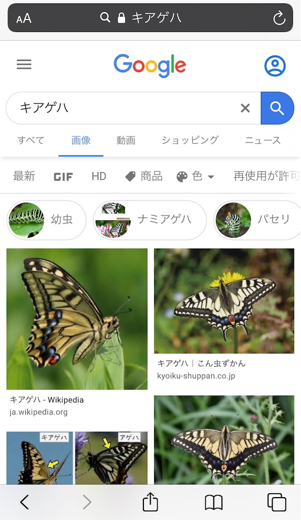 f:id:chakirhythm:20200814094023j:image f:id:chakirhythm:20200814094023j:image