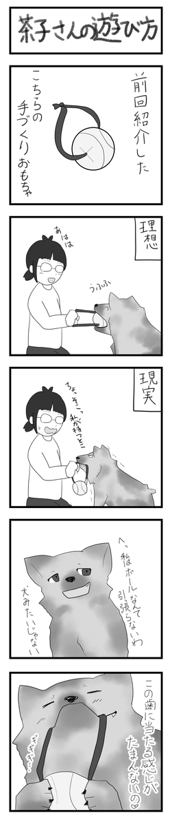 f:id:chako-biyori:20200608093527j:plain