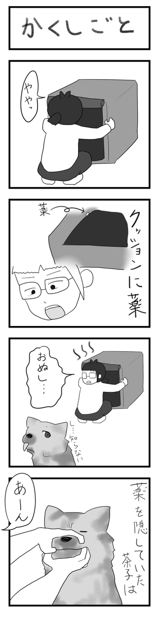 f:id:chako-biyori:20200608094202j:plain