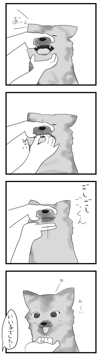 f:id:chako-biyori:20200608094231j:plain