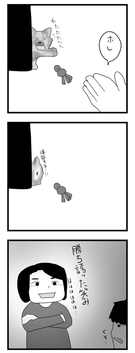 f:id:chako-biyori:20200610094223j:plain