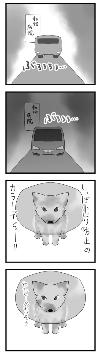 f:id:chako-biyori:20200612044253j:plain