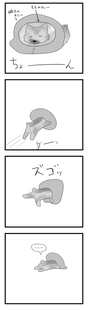 f:id:chako-biyori:20200613093829j:plain