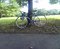 城南ふとう公園にて